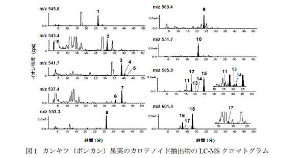 図1 カンキツ(ポンカン)果実のカロテノイド抽出物のLC-MSクロマトグラム
