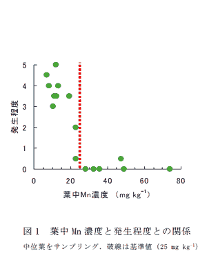 図1 葉中Mn濃度と発生程度との関係