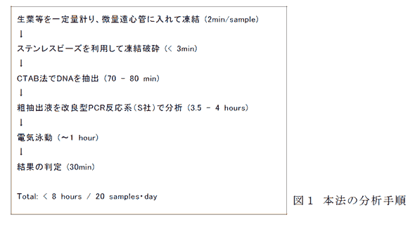 図1 本法の分析手順