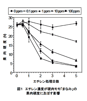 図1 エチレン濃度が硬肉モモ「まなみ」の果肉硬度に及ぼす影響