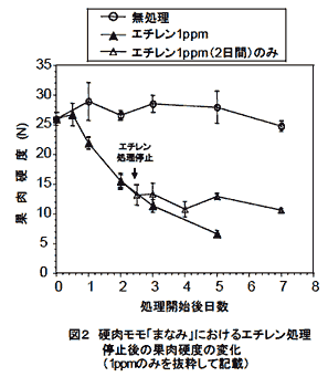 図2 硬肉モモ「まなみ」におけるエチレン処理停止後の果肉硬度の変化(1ppmのみを抜粋して記載)