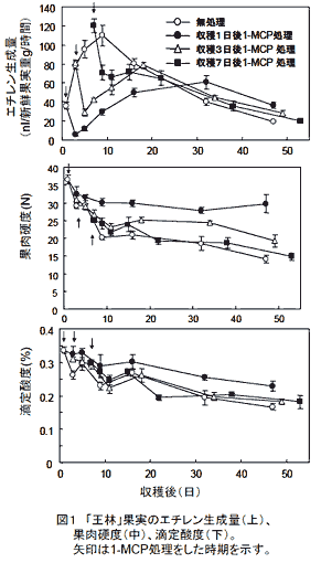 図1 「王林」果実のエチレン生成量(上)、果肉硬度(中)、滴定酸度(下)。矢印は1-MCP処理をした時期を示す。