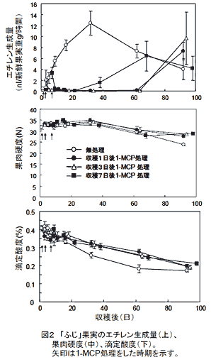 図2 「ふじ」果実のエチレン生成量(上)、果肉硬度(中)、滴定酸度(下)。矢印は1-MCP処理をした時期を示す。