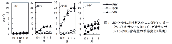 図1 JS-I～IVにおけるフィトエン(PHY)、β-クリプトキサンチン(BCR)、ビオラキサンチン(VIO)含有量の季節変化(果肉)