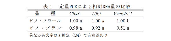 表1 定量PCRによる相対DNA量の比較