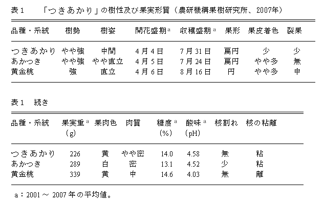 表1 「モモ筑波121号」の樹性及び果実形質(農研機構果樹研究所、2007年)