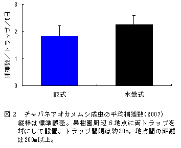 図2 チャバネアオカメムシ成虫の平均捕獲数(2007)