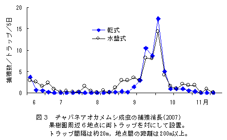 図3 チャバネアオカメムシ成虫の捕獲消長(2007)
