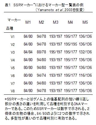 表1 SSRマーカー*におけるマーカー型一覧表の例