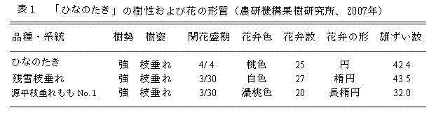 表1 「モモ筑波125号」の樹性および花の形質(農研機構果樹研究所、2007年)