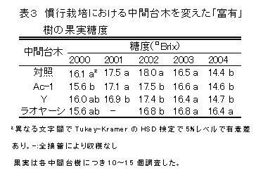 表3 慣行栽培における中間台木を変えた「富有」樹の果実糖度