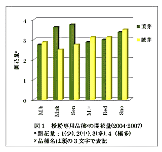 図1 授粉専用品種yの開花量(2004-2007)