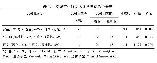 表1. 交雑実生群における果皮色の分離