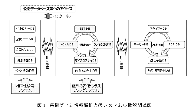 図1 果樹ゲノム情報解析支援システムの機能関連図