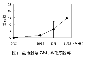 図1.露地栽培における花成誘導