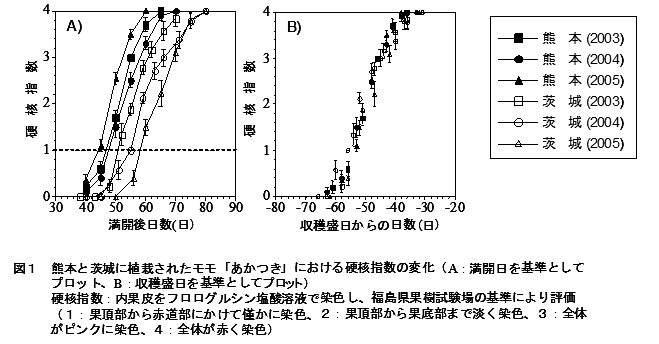 図1 熊本と茨城に植栽されたモモ「あかつき」における硬核指数の変化