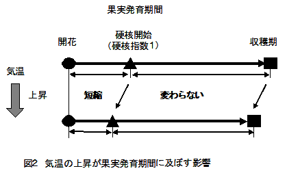 図2 気温の上昇が果実発育期間に及ぼす影響