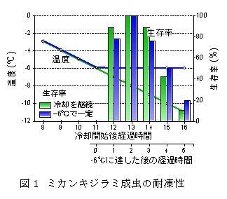 図1 ミカンキジラミ成虫の耐凍性