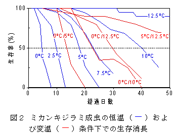 図2 ミカンキジラミ成虫の恒温(-)および変温(-)条件下での生存消長