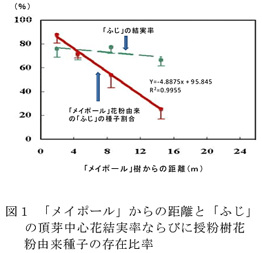 図1 「メイポール」からの距離と「ふじ」の頂芽中心花結実率ならびに授粉樹花粉由来種子の存在比率