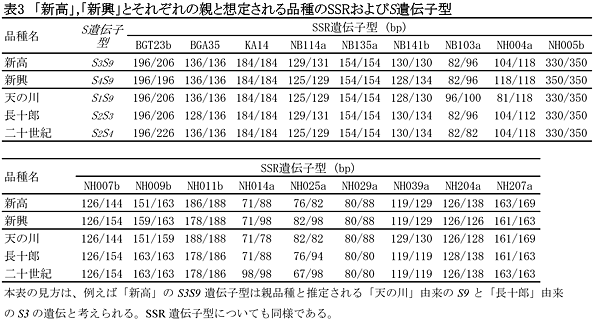 表3 「新高」,「新興」とそれぞれの親と想定される品種のSSRおよびS遺伝子型