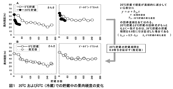 図1 20℃および0℃(冷蔵)での貯蔵中の果肉硬度の変化