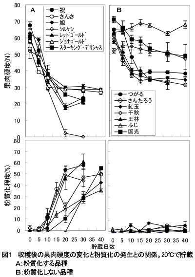 図1 収穫後の果肉硬度の変化と粉質化の発生との関係。20°Cで貯蔵