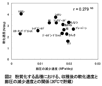 図2 粉質化する品種における、収穫後の軟化速度と膨圧の減少速度との関係(20°Cで貯蔵)