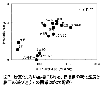 図3 粉質化しない品種における、収穫後の軟化速度と膨圧の減少速度との関係(20°Cで貯蔵)