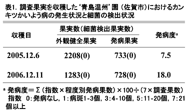 表1 調査果実を収穫した‘青島温州’園(佐賀市)におけるカンキツかいよう病の発生状況と細菌の検出状況