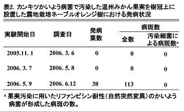 表2 カンキツかいよう病菌で汚染した温州みかん果実を樹冠上に設置した露地栽培ネーブルオレンジ樹における発病状況