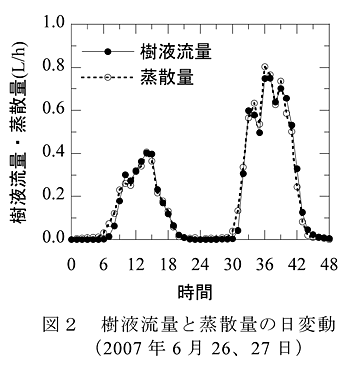 図2 樹液流量と蒸散量の日変動(2007年6月26、27日)