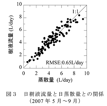 図3 図3 日樹液流量と日蒸散量との関係(2007年5月~9月)