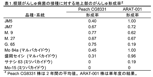 表1 根頭がんしゅ病菌の接種に対する地上部のがんしゅ形成率z