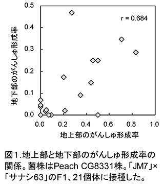 図1 地上部と地下部のがんしゅ形成率の関係。菌株はPeach CG8331株。「JM7」×「サナシ63」のF1、21個体に接種した。