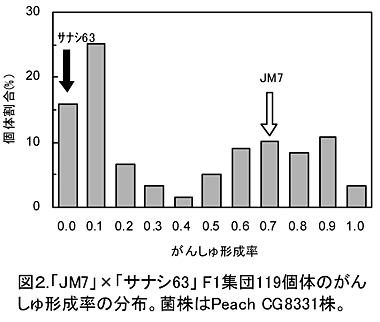 図2 「JM7」×「サナシ63」 F1集団119個体のがんしゅ形成率の分布。菌株はPeach CG8331株。
