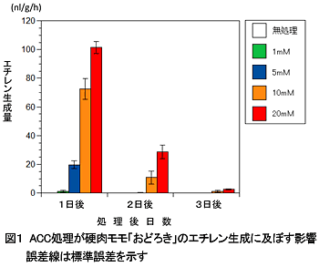 図1 ACC処理が硬肉モモ「おどろき」のエチレン生成に及ぼす影響誤差線は標準誤差を示す