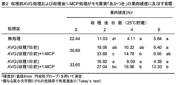 表2 収穫前AVG処理および収穫後1-MCP処理がモモ果実「あかつき」の果肉硬度に及ぼす影響