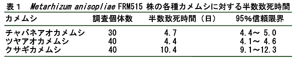 表1 Metarhizum anisopliae FRM515 株の各種カメムシに対する半数致死時間