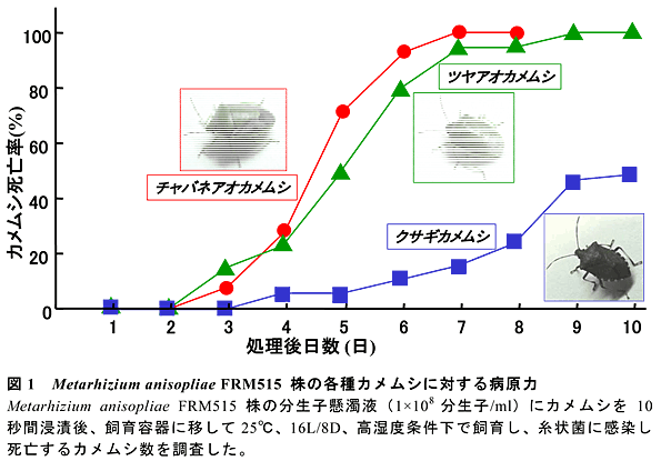 図1 <span style=