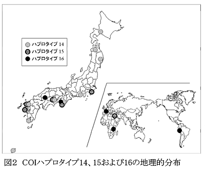 図2 COIハプロタイプ14、15および16の地理的分布