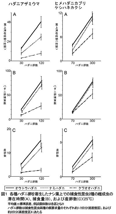 図1 各種ハダニ卵を寄生したナシ葉上での捕食性昆虫2種の雌成虫の滞在時間(A)、捕食量(B)、および産卵数(C)(25°C)