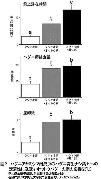 図2 ハダニアザミウマ雌成虫のハダニ寄生ナシ葉上への定着性に及ぼすオウトウハダニの網の影響(25°C)