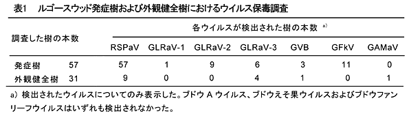 表1 ルゴースウッド発症樹および外観健全樹におけるウイルス保毒調査