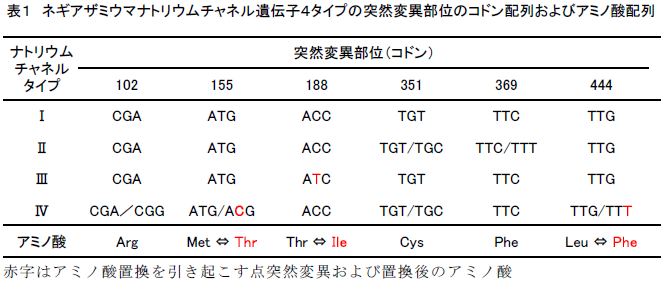 ネギアザミウマナトリウムチャネル遺伝子4タイプの突然変異部位のコドン配列およびアミノ酸配列