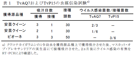 TvAQ7およびTvP15の虫媒伝染試験