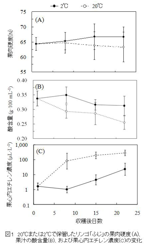 20°Cまたは2°Cで保管したリンゴ「ふじ」の果肉硬度(A)、果汁の酸含量(B)、および果心内エチレン濃度(C)の変化