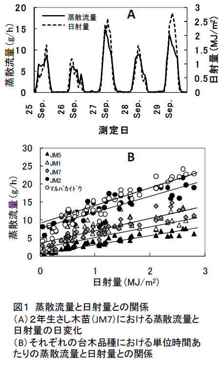 蒸散流量と日射量との関係