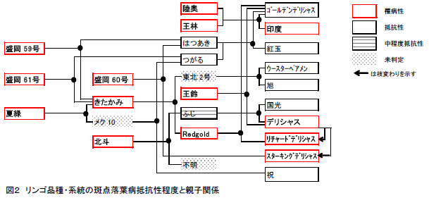 リンゴ品種・系統の斑点落葉病抵抗性程度と親子関係