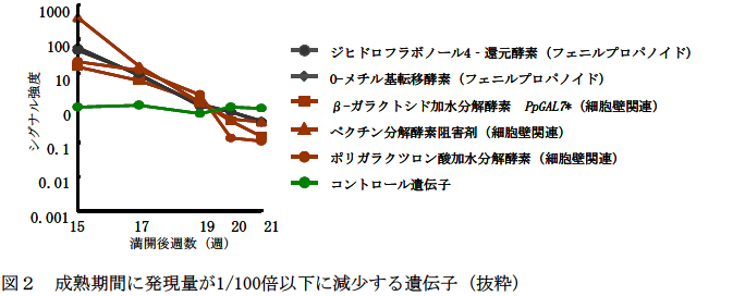 成熟期間に発現量が1/100倍以下に減少する遺伝子